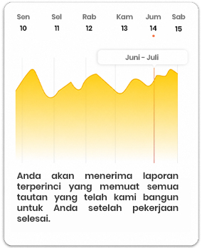 SEO Report & Updates